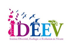 Audioguias (áudioguias, áudio guias, audio guias, audioguias, audio-guia, audio-guias) IDEEV