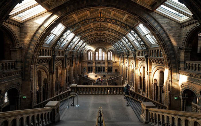 Audioguia de Londres - Museu de História Natural